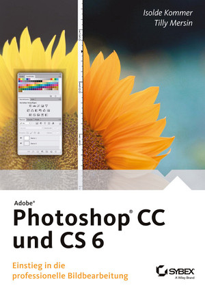 Weitere Informationen zum Buch